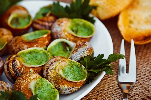 Escargots de Bourgogne - Snails with herbs butter, gourmet dish in French traditional with parsley and bread on white platter